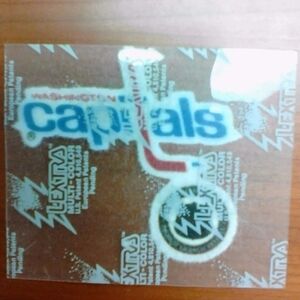 NHL WASHINGTON CAPITOLS IRON ON PATCH 2 1/2" X 3" NICE!